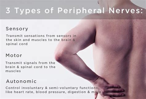 Facts Peripheral Neuropathy And Four Big Myths About Neuropathy