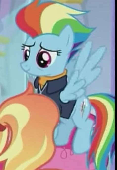 Does Anyone Else Dislike Rainbow Dash If So Why Page 2 Mlp Fim Canon Discussion Mlp Forums