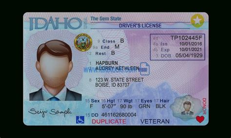 Blank Colorado Drivers License Template Goimages Base
