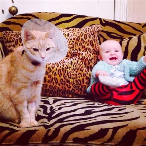 40 Photos That Prove Kids And Cats Make The Best Of Friends Pulptastic