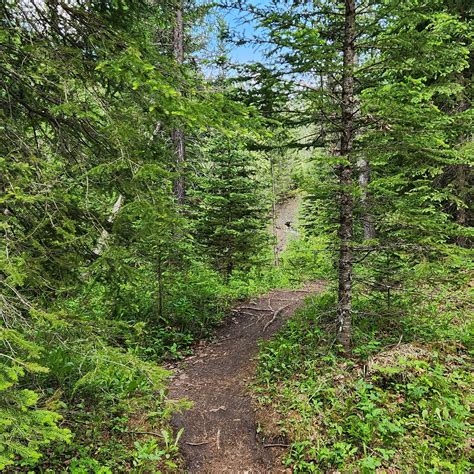 Allison Creek Falls Hike In The Crowsnest Pass Alberta Canada Updated