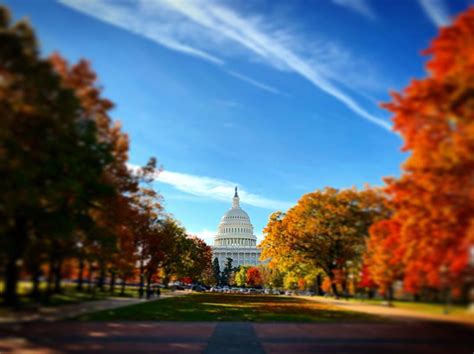 Best Places To Photograph Fall Foliage In Dc