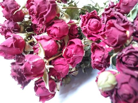 Check spelling or type a new query. Dried rose flower bunches dark red wholesale - Dried ...