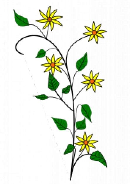 Simple Yellow Flowers Drawing With White Background Stock Images Page