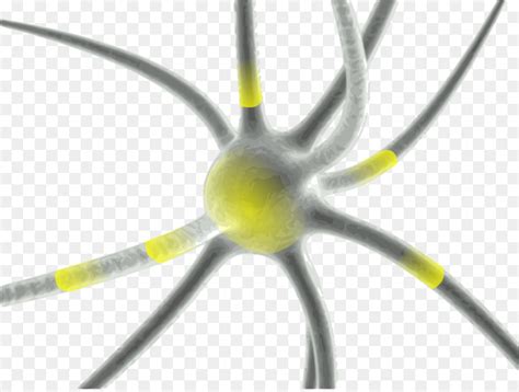 Sinapsis Neurona Cerebro Imagen Png Imagen Transparente Descarga