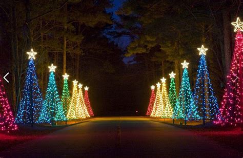 Guide To Fantasy In Lights At Callaway Gardens Official Georgia