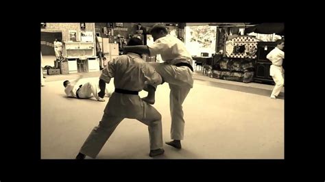 Shintai Karate Jitsu Youtube
