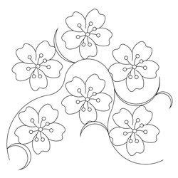 Begin by drawing a single flower. Shop | Category: Flowers / leaves | Product: Cherry or Sakura blossom simple E2E | Paper ...
