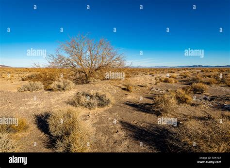 The California Nevada Desert Stock Photo Alamy