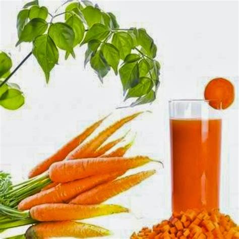 Green juice is a type of drink made by having leafy green vegetables and fruits (if any) processed through a juicer. Article Cosmos: Healthy Recipe Carrot Juice