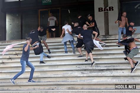 Results honours list uefa champions league honours list uefa cup honours list uefa europa league honours list uefa super cup honours list fairs cup honours. Palermo fans fight each other at Salernitana | Hools.net