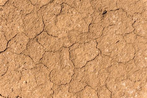 Silty Soil Stock Photos Pictures And Royalty Free Images Istock