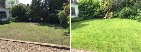 Professional Lawncare Services Trugreen Bromley