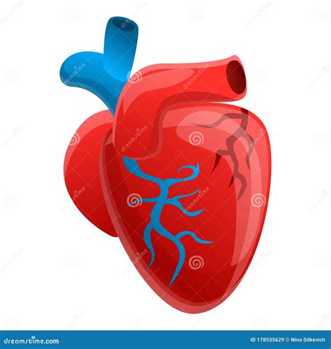 Biology Human Heart Icon Cartoon Style Stock Vector Illustration Of