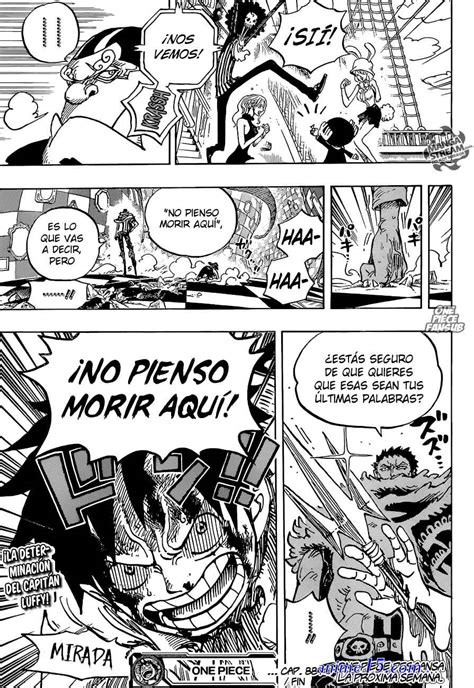 One Piece Capítulo 881 Jkanime Anime15