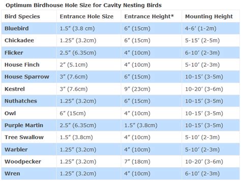 A bird house specification chart ravenview. Bird House Hole Size (Best Dimensions)