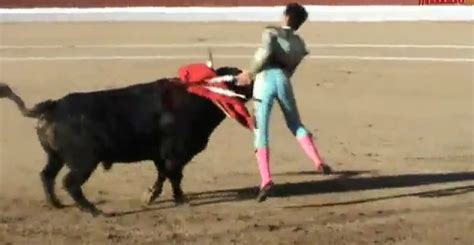 The Bulls Are Winning Bullfighter David Galvans First Fight Ends With
