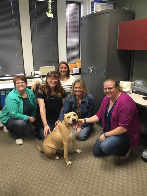 Grand county assessors work at the county and local level to determine the value of taxable property in grand county, utah. Dog Licenses | Grand Traverse County, MI
