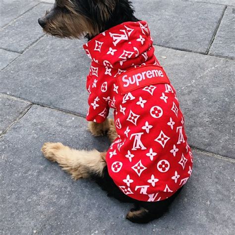 Supreme Louis Vuitton Dog Clothes Literacy Basics
