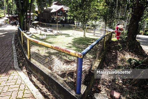 Public bank shah alam, public bank share, public bank share price today, public bank sharelink, public bank share trading, public bank, public bank online, public bank apartment rimba 2 seksyen 16 shah alam for sale via mhartanah.wordpress.com. Proses Sanitasi Taman Botani Negara, Shah Alam #PKPP