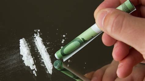 16 tonnen kokain in hamburg entdeckt. Drogen im Straßenverkehr