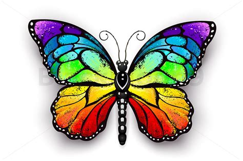 Download Rainbow Monarch Butterfly (30873) | Illustrations | Design ...