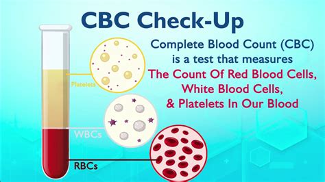 Complete Blood Count Test Youtube