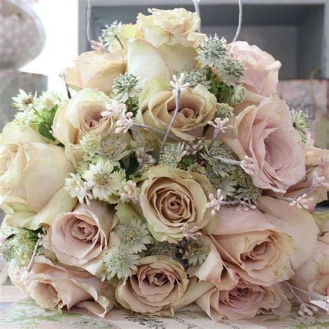 Perfect for a barn wedding, a mass of chamomile and astrantia makes a big impact and is a smart. Vintage Sahara and Quicksand roses and astrantia - Bouquet ...