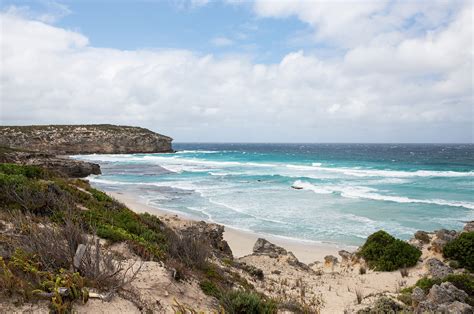 The Top Things You Must Do On Kangaroo Island Travel Insider
