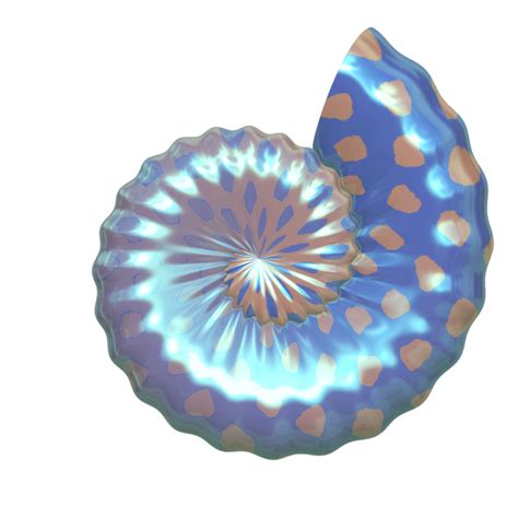 Most items in the collection are engravings. Seashell Clipart - Clipartion.com