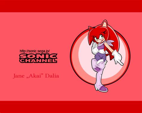 Sonic Channel Jane Akai Dalia Sonic Fan Characters Photo 38111439