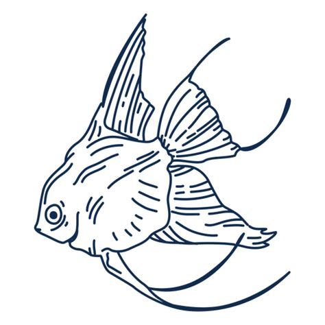 Download Goldfish sea life stroke fish - Transparent PNG & SVG vector file