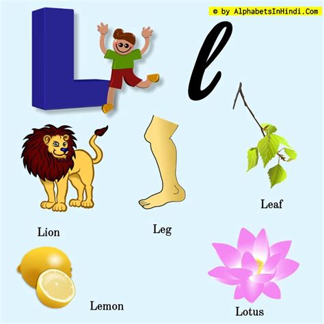Here's how to get microsoft word for your own computer. L For Lion Alphabet, Phonic Sound And 5 Words HD Image