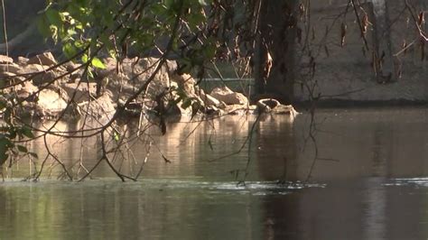 High Levels Of Fecal Bacteria Found In Part Of Neuse River Nonprofit Says Abc11 Raleigh Durham