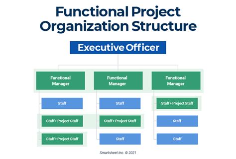 Project Management Organization Structure And Chart Sexiz Pix