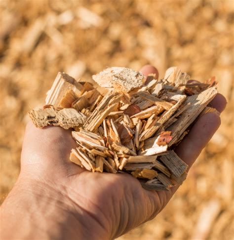 Buy High Quality Wood Chippings For Garden Bark Uk Online