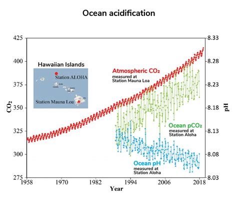Ocean Acidification Understanding Global Change