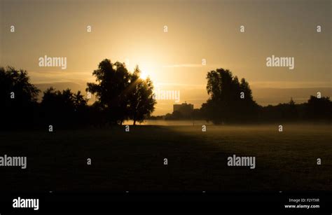 Early Morning Sunrise Over A Field With Trees The Sun Is Casting A