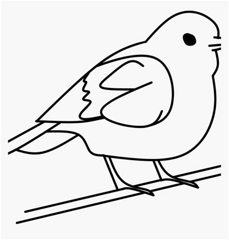 Birds On A Branch Clipart Black And White
