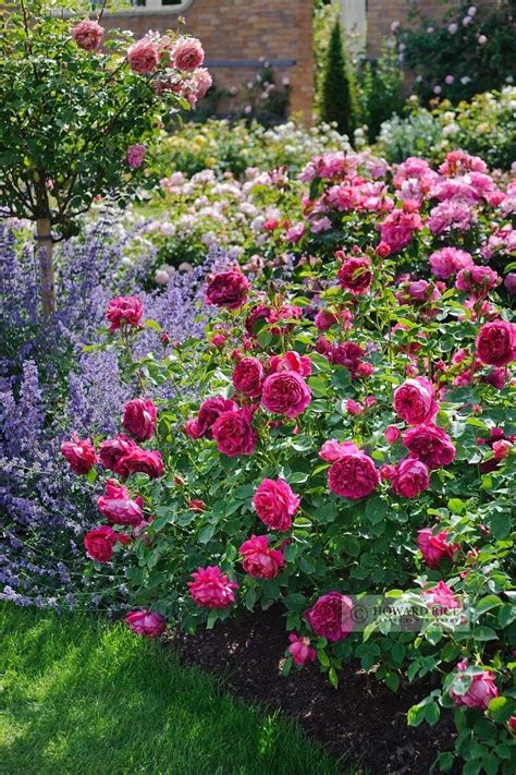 Check spelling or type a new query. 27 Best Flower Bed Ideas (Decorations and Designs) for 2017