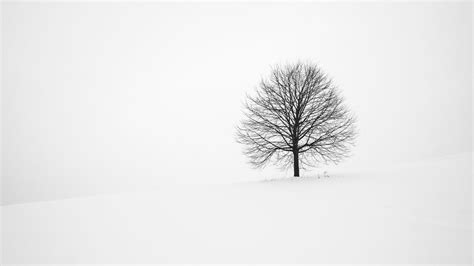 Download Wallpaper 1920x1080 Tree Winter Snow