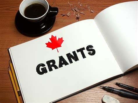 Canadian Government Grants 101 Finding The Perfect Grant Consultant