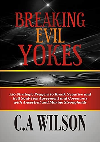 Breaking Evil Yokes 120 Strategic Prayers To Break Negative And Evil