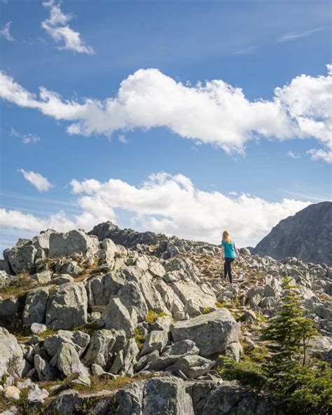 Abbott Ridge Hiking On Top Of The World In Glacier National Park