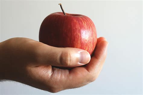 Close Up Photo Of Person Holding Red Apple · Free Stock Photo