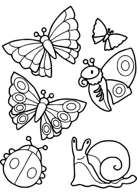 Coloriage Gratuit Insectes Imprimer Collections De Pages