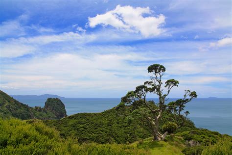 The Coromandel Peninsula In New Zealand Calendars Project