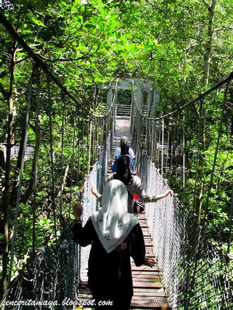 Saya mau bercerita tentang pengalaman saya beberapa waktu yang lalu. Ini cerita saya ...: Taman Paya Bakau Lumut, Perak.