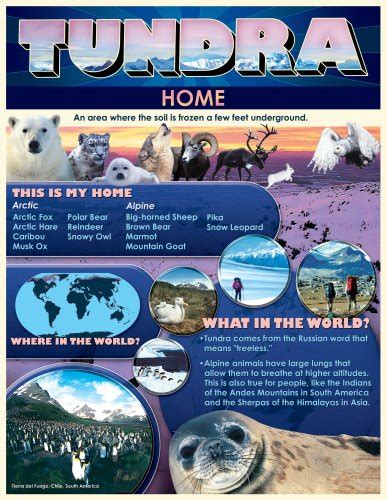 Tundra Home Cheap Chart Cheap Charts Carson Dellosa Publishing