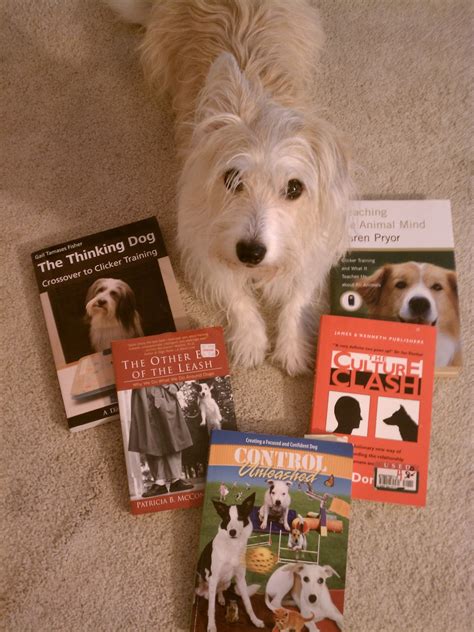 The best dog training books for every type of puppy parent. Reactive Champion: My Favorite Dog Training Books